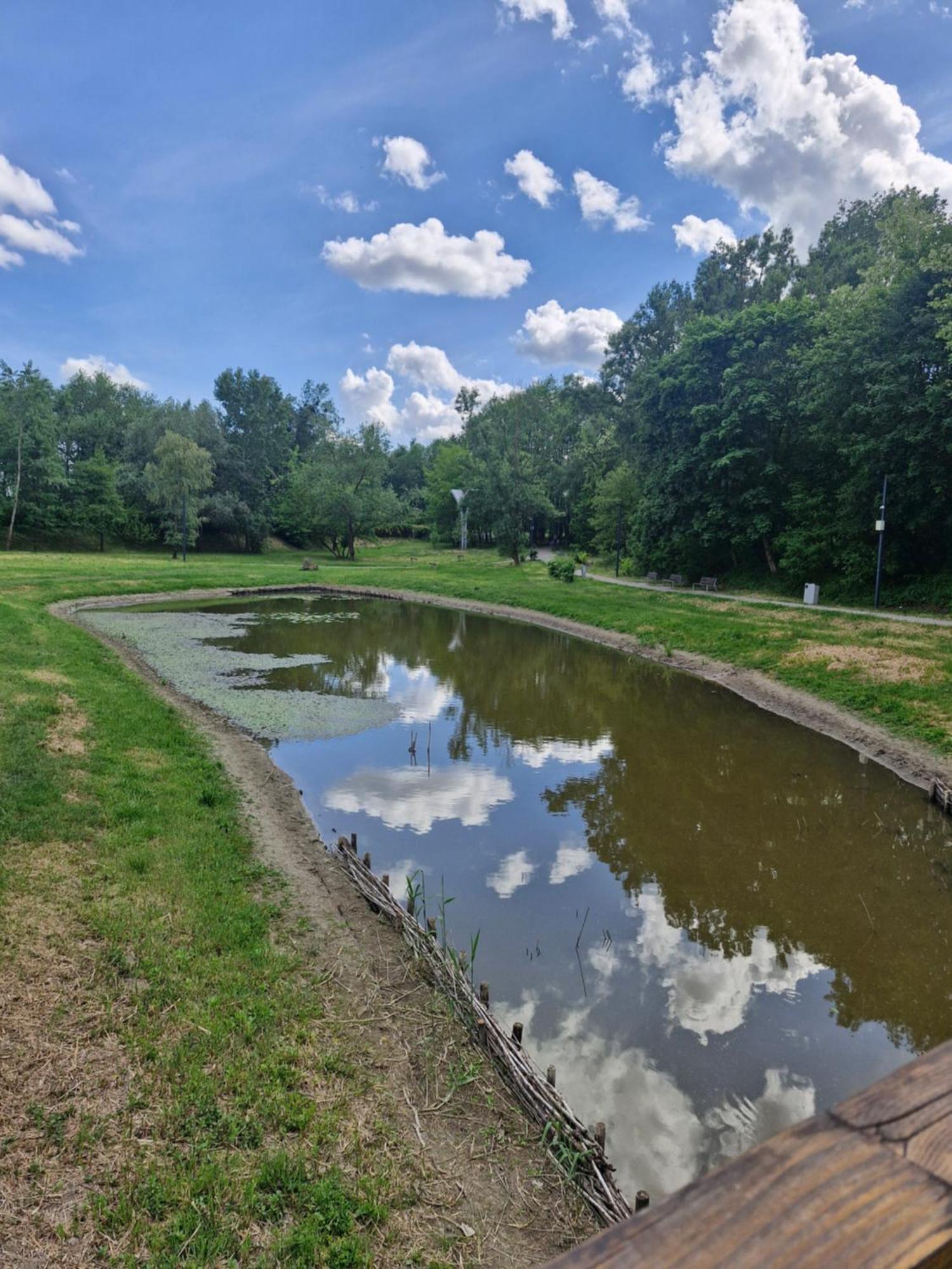 Apartament Cichy I Wygodny Stalowa Wola Exteriör bild